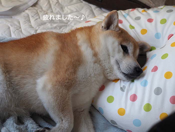 14日夜ブログ４