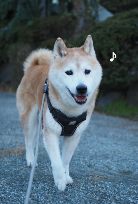 19日夕ブログ６