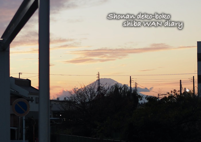 22日夕ブログ３