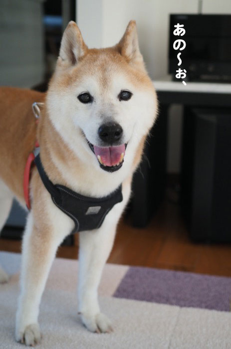 29日ブログ１