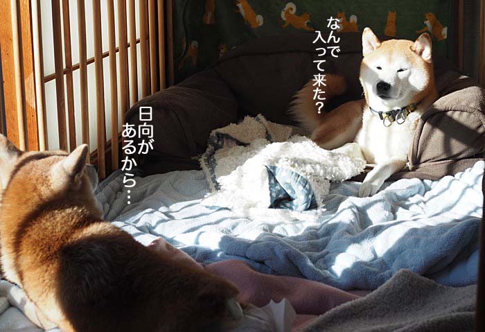 21日夜ブログ５