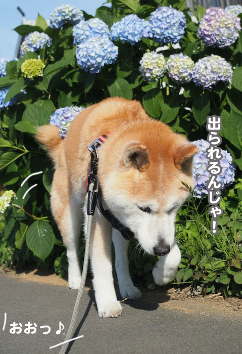 27日夕ブログ５
