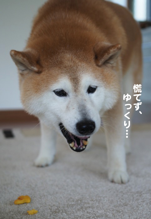 28日夕ブログ４
