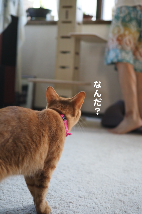 20日ブログ４