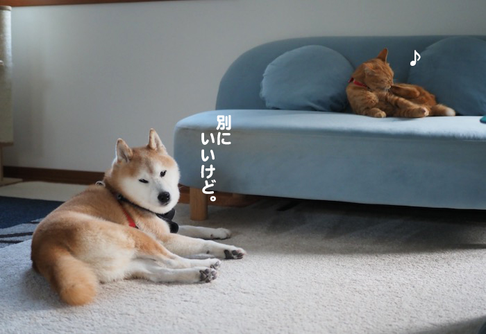 5日夕ブログ６