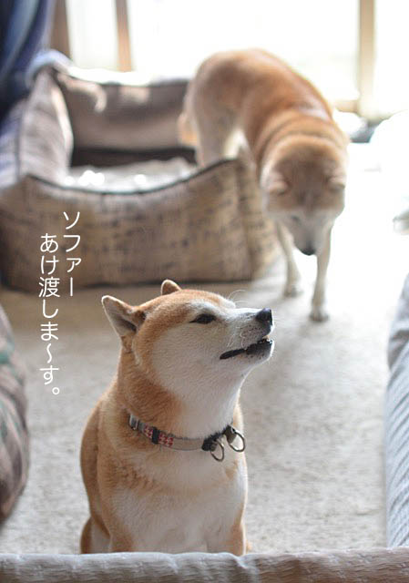 25日ブログ7