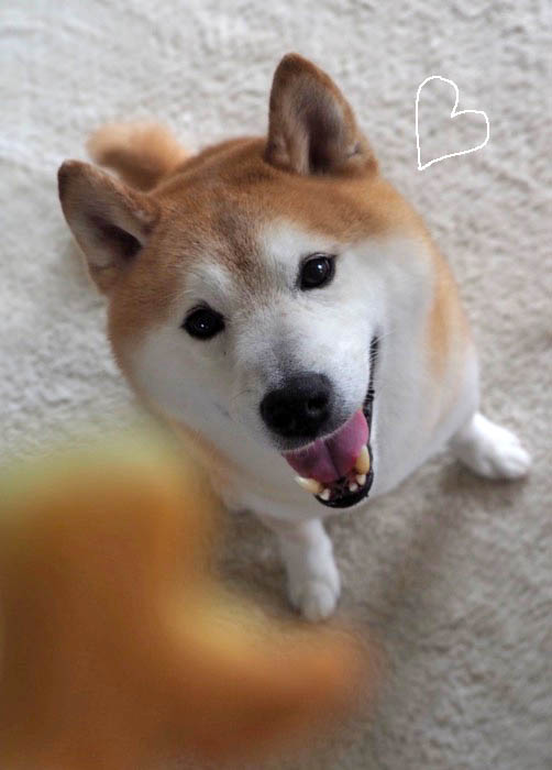 24日ブログ２