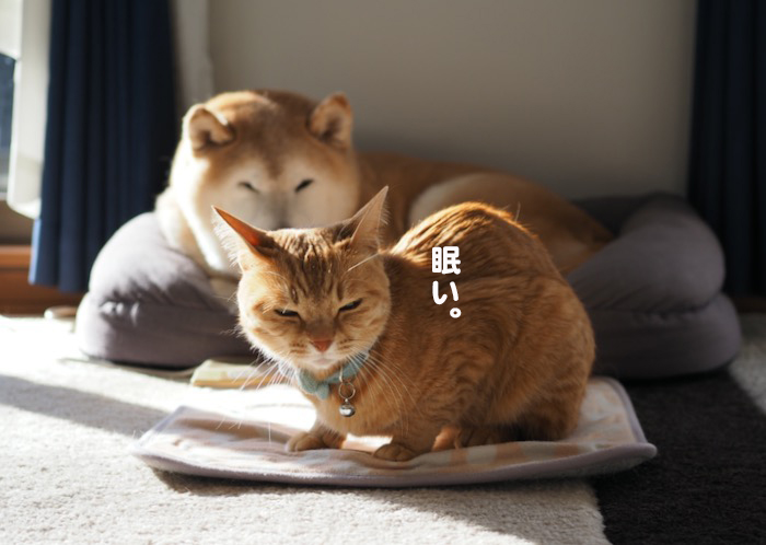 26日ブログ２