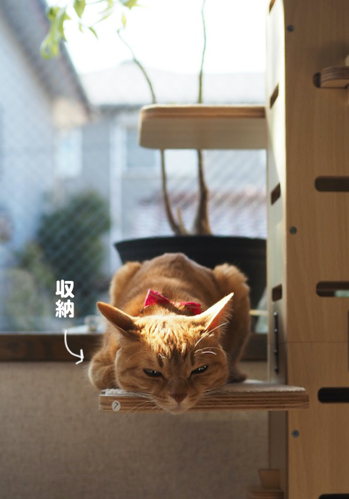 22日ブログ３