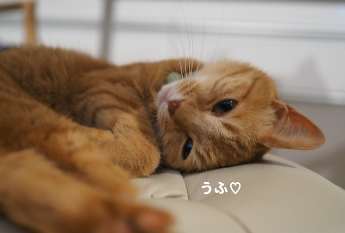 6日夕ブログ２-(1)