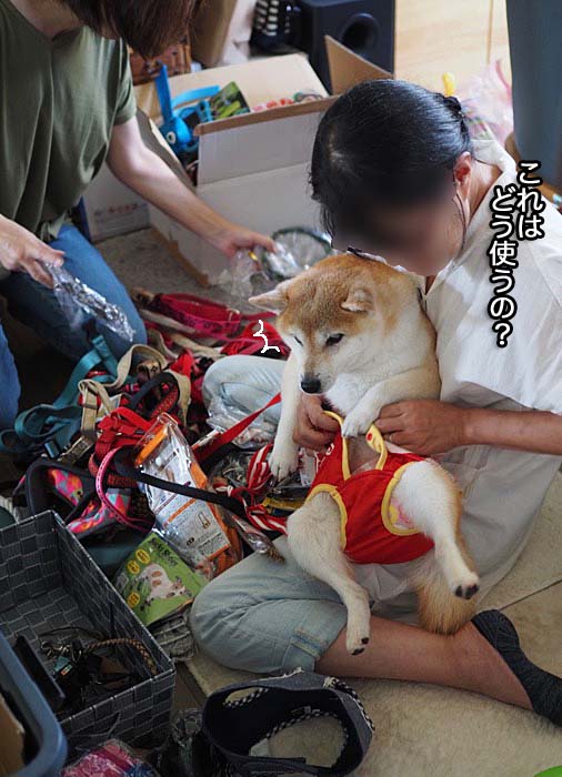 1日ブログ６