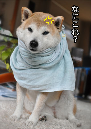 7日ブログ４.jpg