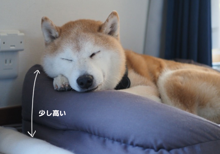 15日夜ブログ３