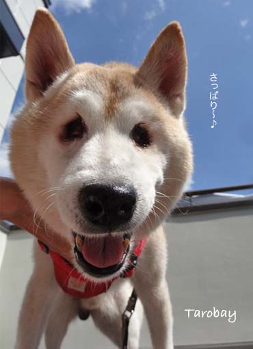 25日ブログ6.jpg