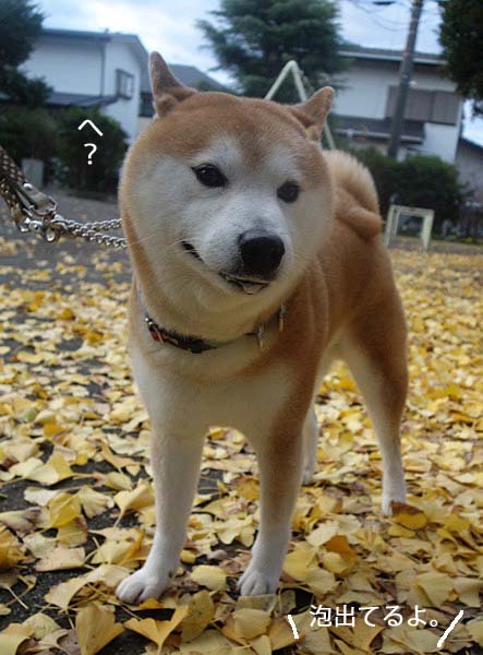 27日ブログ2