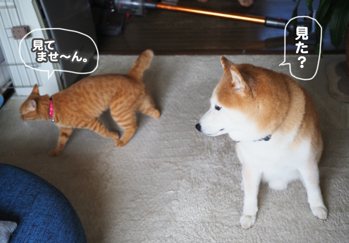14日ブログ４