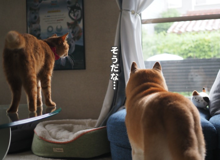 13日夕ブログ５