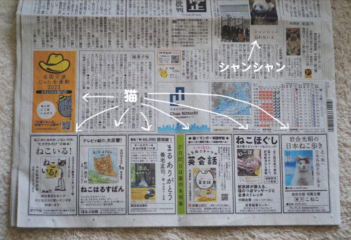 22日夕ブログ３