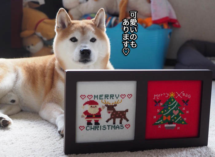 6日ブログ３