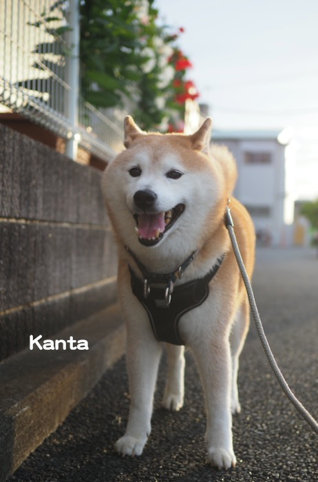 5日夕ブログ３