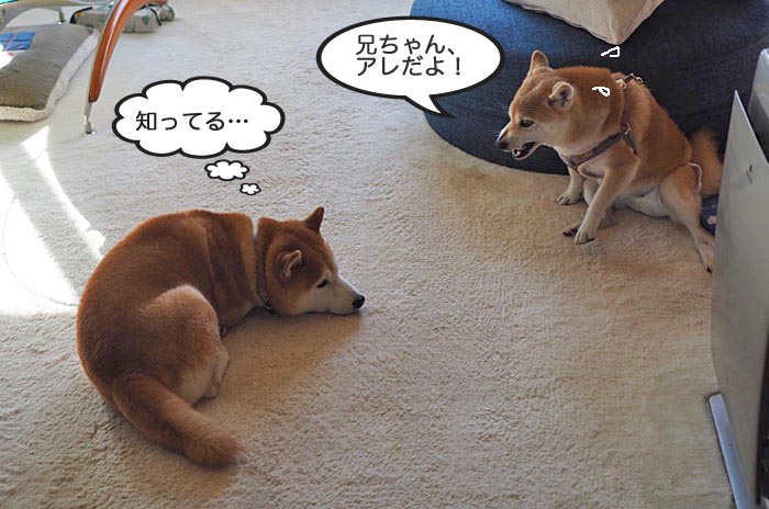 7日ブログ２