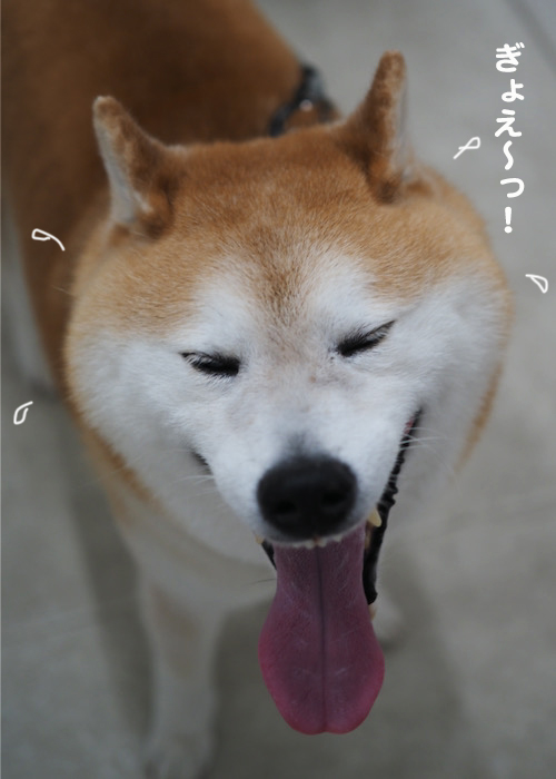 7日ブログ１２