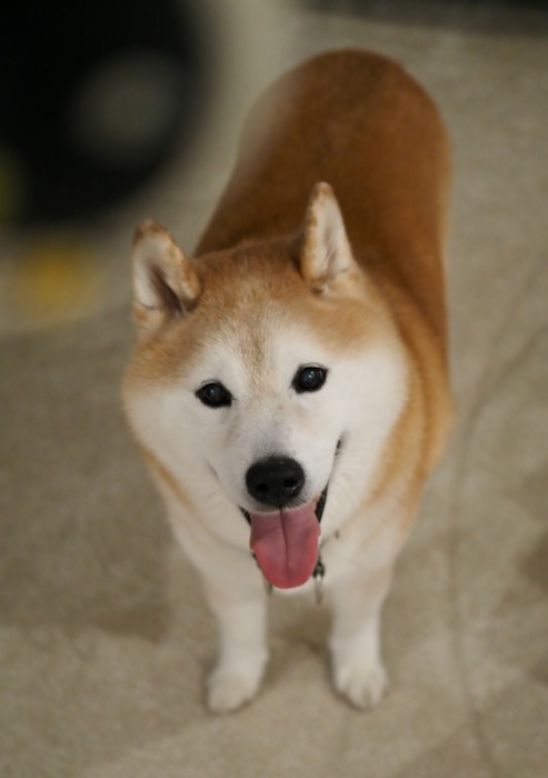 5日夜ブログ３