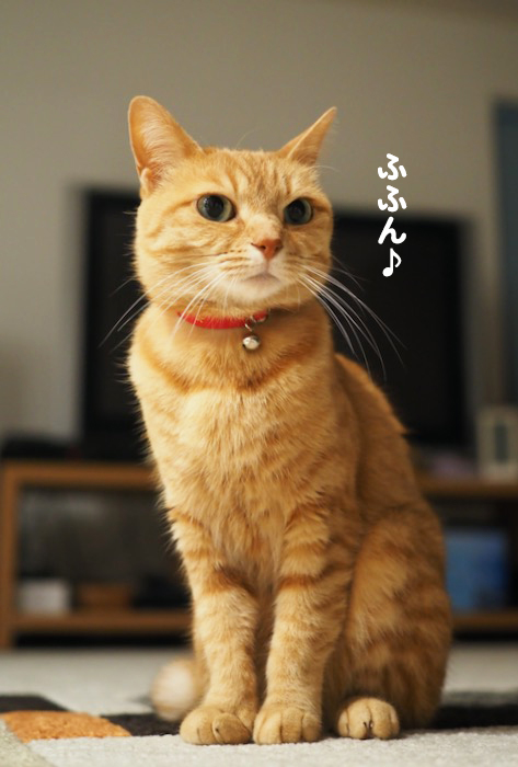 17日夕ブログ5