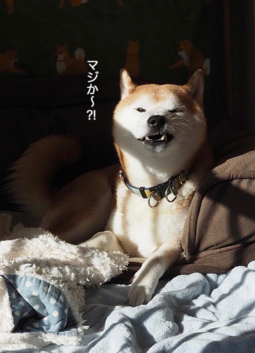 21日夜ブログ６