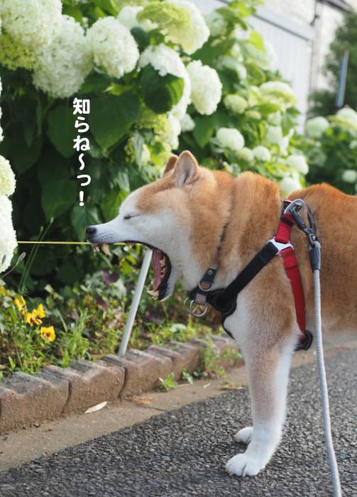1日朝ブログ３