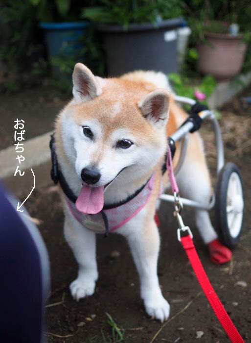 22日夕ブログ４