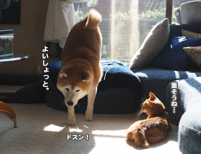 27日ブログ５