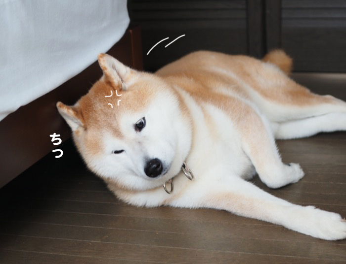 11日ブログ４