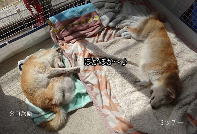 16日ブログ3