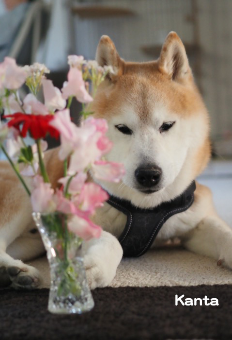 4日夕ブログ４