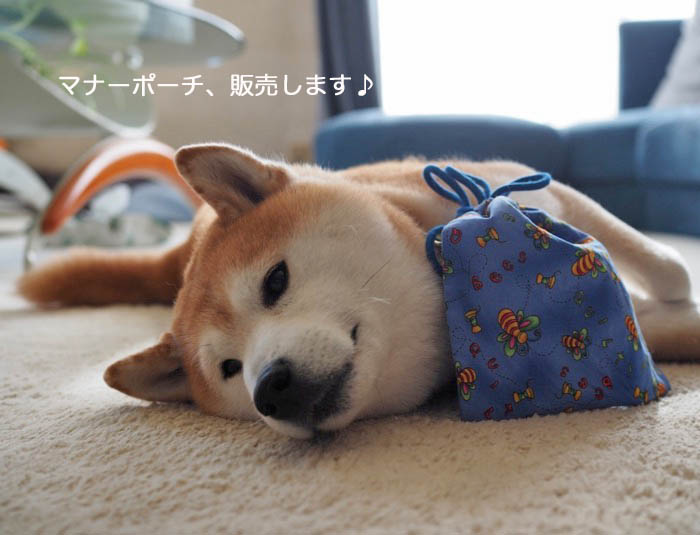 お知らせ その２ マナーポーチ 販売します 湘南凸凹柴wan日記 Powered By ライブドアブログ