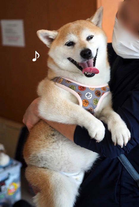 7日ブログ３
