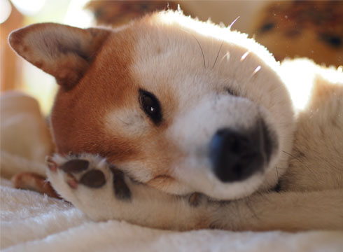 10日ブログ9.jpg