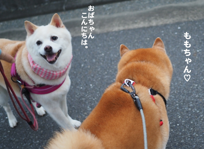 17日夕ブログ５