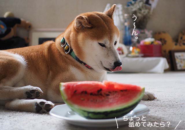 29日ブログ9