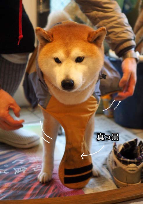9日ブログ５