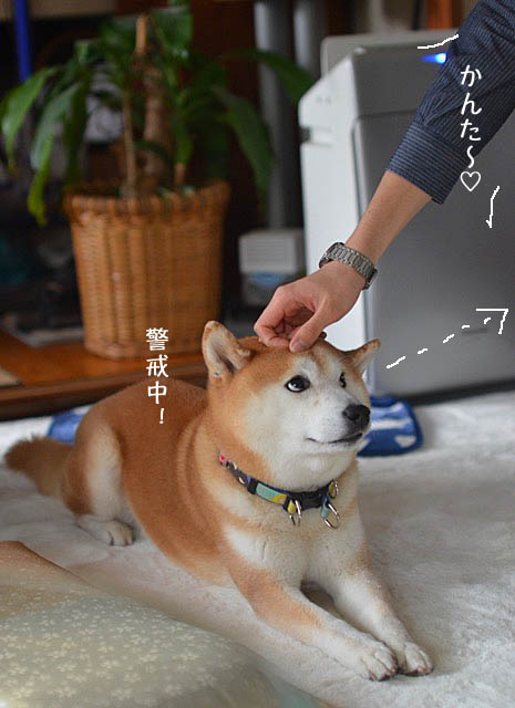 17日ブログ7