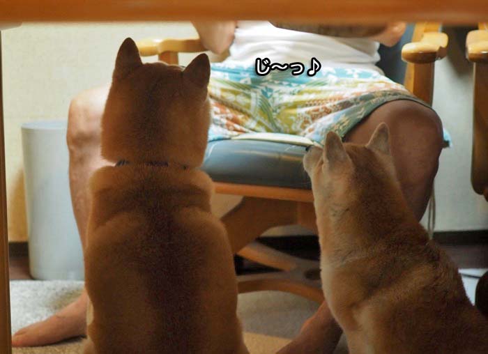 26日ブログ４