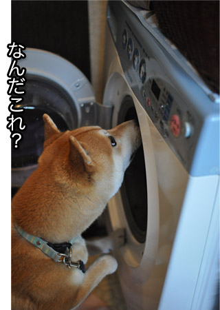 7日ブログ８.jpg
