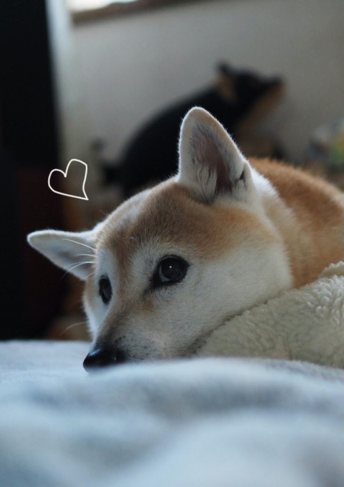 12日ブログ７