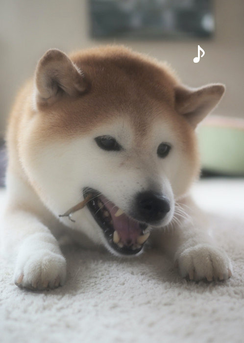 19日夕ブログ２