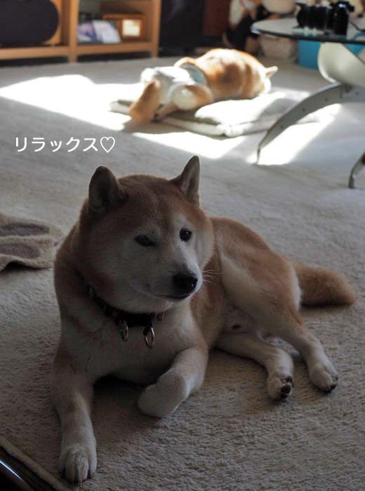 16日ブログ３