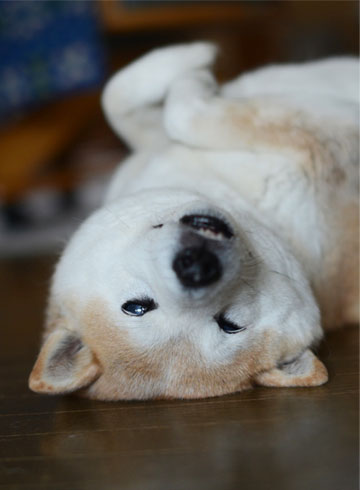 23日ブログ7.jpg