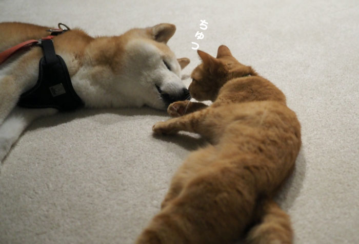 15日ブログ１