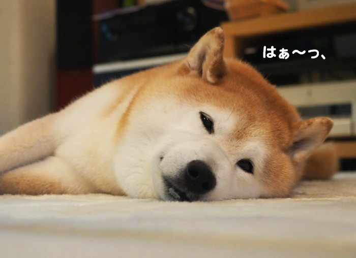 2日夕ブログ６